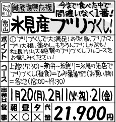 《能登復興応援》氷見産ブリづくし！