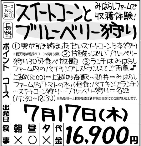 スイートコーンとブルーベリー狩り