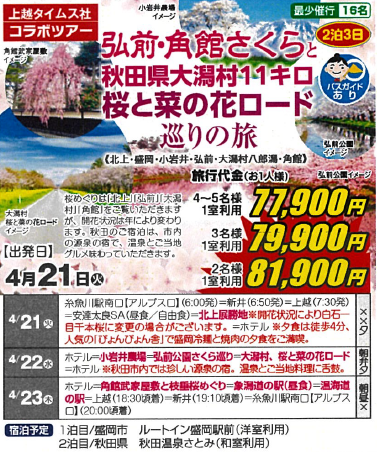 弘前・角館さくらと秋田県大潟村11キロ桜と菜の花ロード巡りの旅