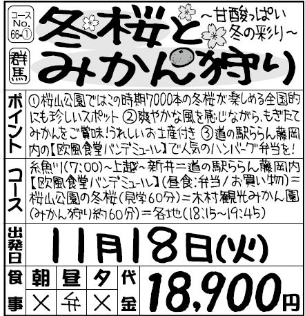 冬桜とみかん狩り